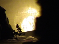 Arctic Eden II - Video Still