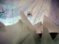 Arctic Eden II - Video Still