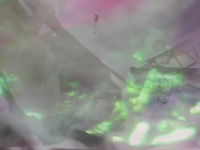 Arctic Eden II - Video Still
