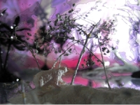Arctic Eden II - Video Still