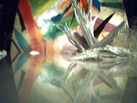 Arctic Eden - Video Still