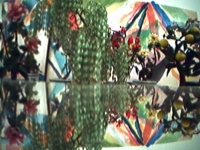 Arctic Eden - Video Still