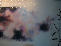 Butterflies Shift North - Installation View