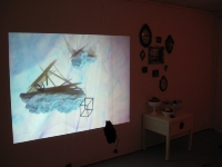 Butterflies Shift North - Installation View