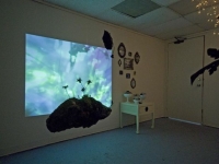 Butterflies Shift North - Installation View