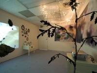 Butterflies Shift North - Installation View
