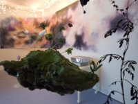 Butterflies Shift North - Installation View