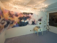 Butterflies Shift North - Installation Shot