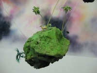 Butterflies Shift North - Installation Shot