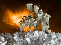 Thermohaline Circulation - Video Still